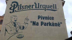 IMAG0556